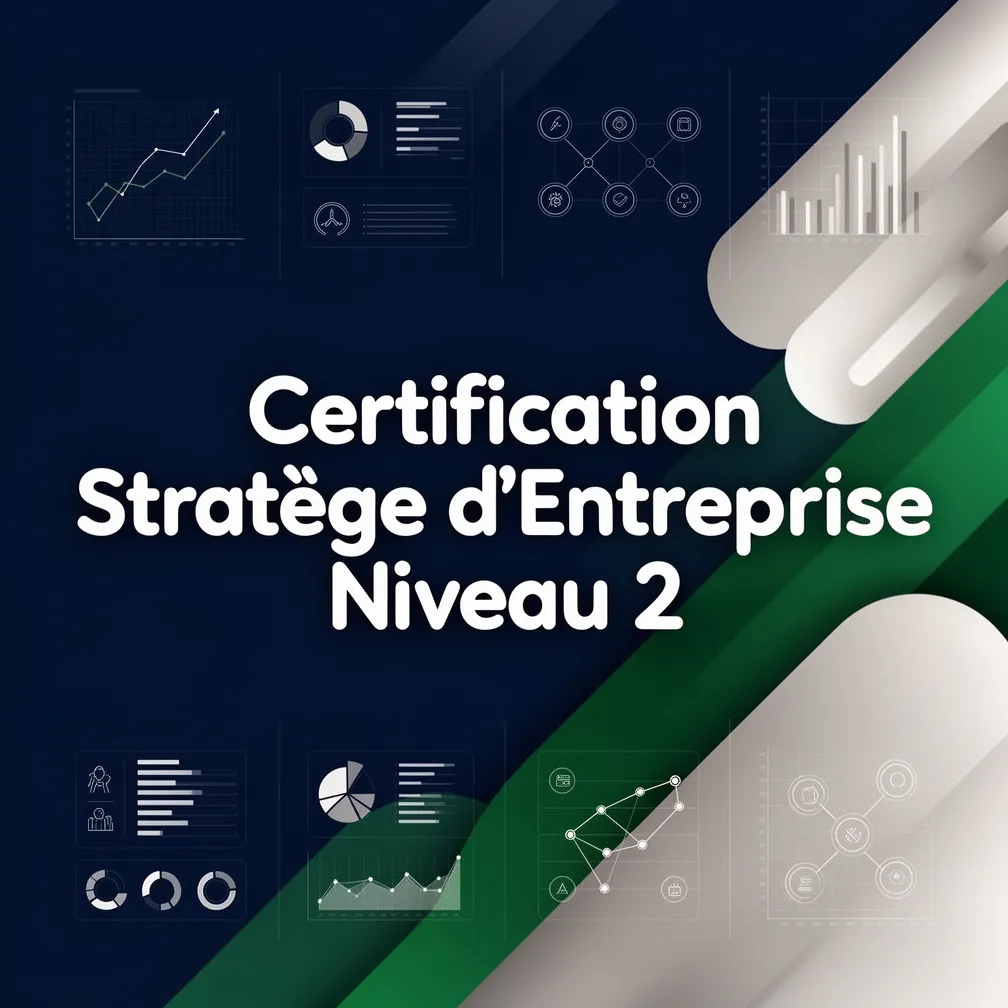 Certification Stratège d'Entreprise Niveau 2