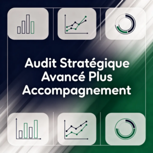 Audit Stratégique Avancé Plus Accompagnement