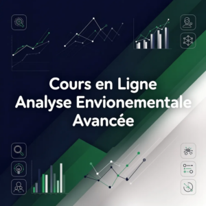 Cours en Ligne Analyse Environnementale Avancée