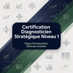 Certification Diagnosticien Stratégique Niveau 1